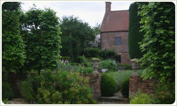 Стриженные лиственные деревья и травянистые многолетники на фоне подпорных стенок из кирпича