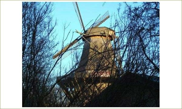 Старинная мельница сквозь ветви деревьев