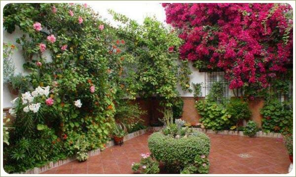 Дворики Кордовы. Посадочные карманы сосем не большие Посадочные карманы сосем не большие и растения в них