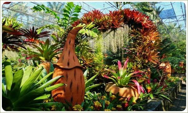 Яркие листья и цветы растений в композиции в форме сердца и скульптуры коричневого цвета н их фоне