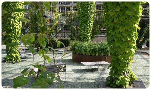 Увитые вьюнами опоры конструкции при близком рассмотрении