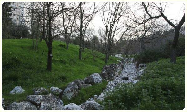 Сухой ручей на склоне участка на фоне куртины цветущей синим цветом и зелёной лужайки и деревьев без листьев