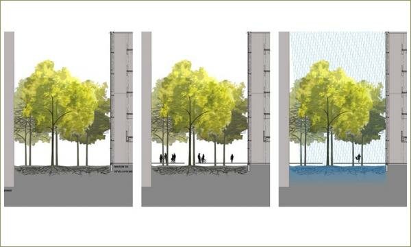 Разрезы к проекту озеленения парка на которых видно что будет с корневой ситемой деревьев в процессе эксплуатации