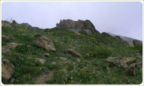 Утёс поросший травами