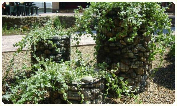 Контейнерное озеленение с габионами