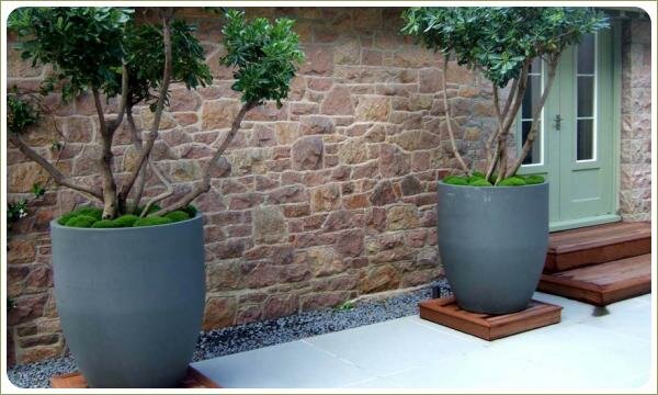 Ниваки в контейнерах