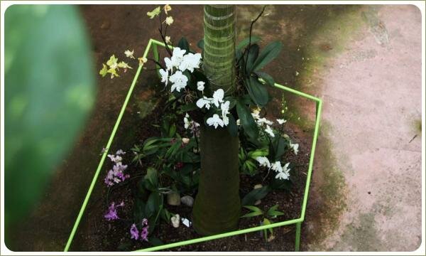 Белые и розовые орхидеи по другому взглянуть вот на такие лакомые уголки