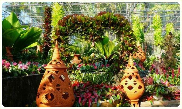 Растения с яркми разноцетными листьями и цветами на фоне метллических конструкций и подпорных стенок и скульптур кирпичного цвета