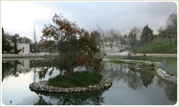 Небольшой островок с деревом и травой и камнями посреди воды на фоне склонов с растениями и строений