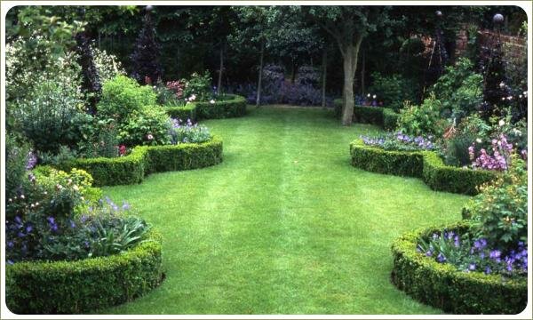 Группы цветнико со стриженной живой изгородью на фоне газона крупных деревьев на заднем плане