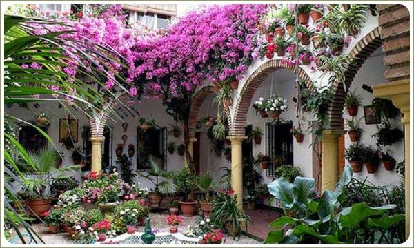 Дворики Кордовы. Убранство этого маленького дворика Убранство этого маленького дворика - арки, лианы, горшечные