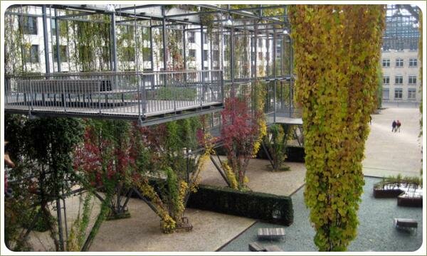 Осенний окрас лиан и смотровая площадка на металлической конструкции в парке