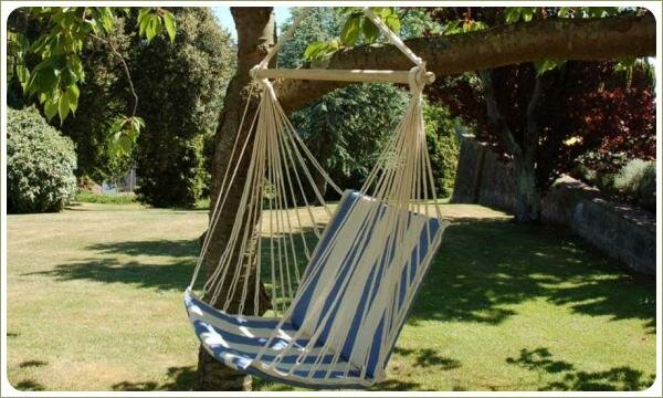 Уютный гамак: кресло Кресло гамак подвешено на ветви дерева на фоне газона и деревьев