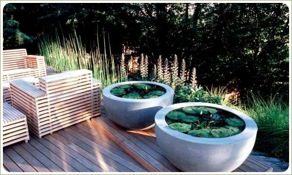 Полусферические контейнеры с плавающими растениями на деревянной террасе на фоне садовой мебели и больших деревьев подбитым цветником со злаками