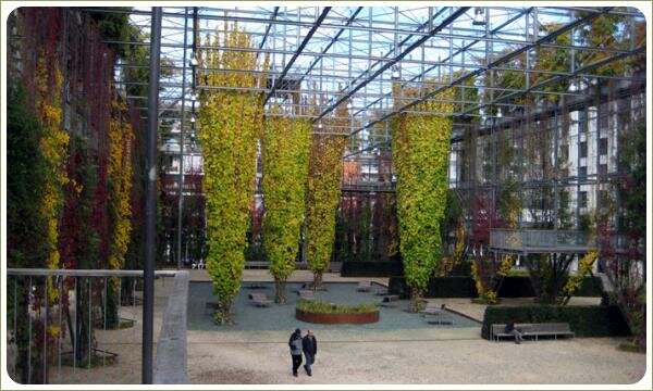 Конструкция из металла с лианами в период осеннего разноцветья на фоне гравийной отсыпки