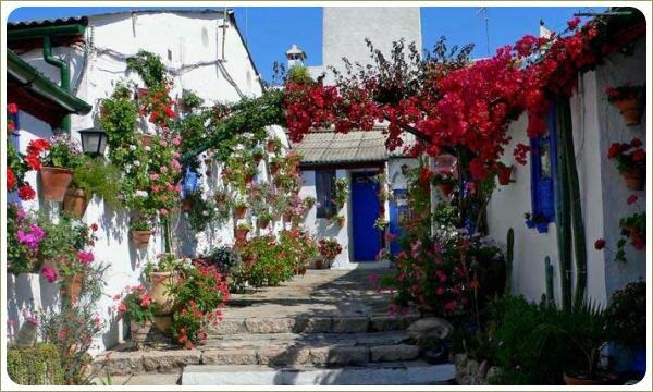 Дворики Кордовы. Арочная конструкция с растениями Арочная конструкция с растениями - дуги и растения