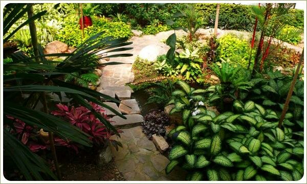 Яркие растения с различным окрасом листа и формы вдоль дорожек и водоёмов в саду