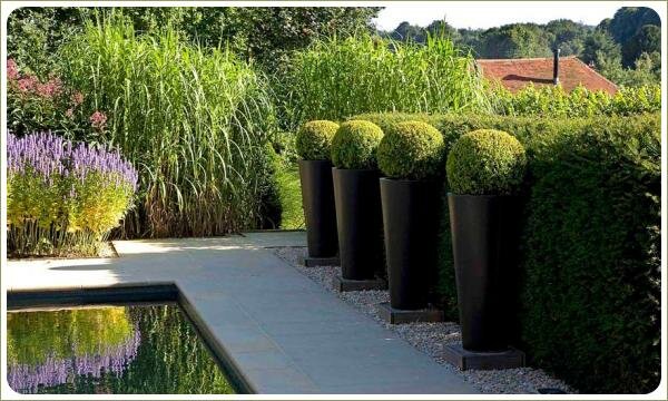 Удлинённые черные контейнеры с шарами растений на деревянных подставках и на гравие на фоне живой изгороди и водоёма