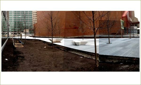 Деревья в грунте и в карманах дорожного покрытия на фоне стен городских домов