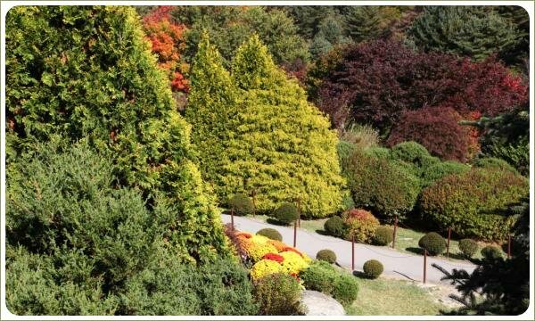 Хвойные и лиственные деревья и кустарники в осеннем саду и дорожки