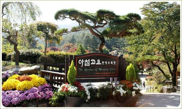 Вход в сад и красочный цветник и группа под сосной ниваки