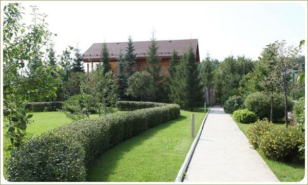 Аккуратный бордюр. Фигурная стрижка растений в Челябинске Стриженный кустарник в виде жёсткого бордюра