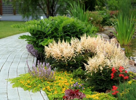 Яркий цветущий берег пруда