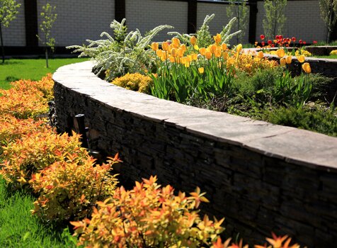 Спирея Голд Принцесс в бордюре (37-16) Жёлтый бордюр из растений