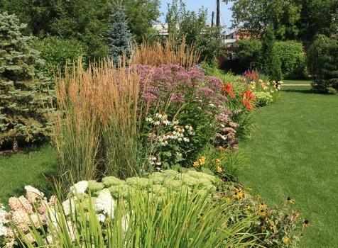 Очитки, ирисы, вейник (31-6) Очитки, ирисы, вейник в большом миксбордере