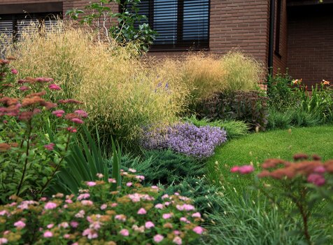 Щучка, тимьян, злаки