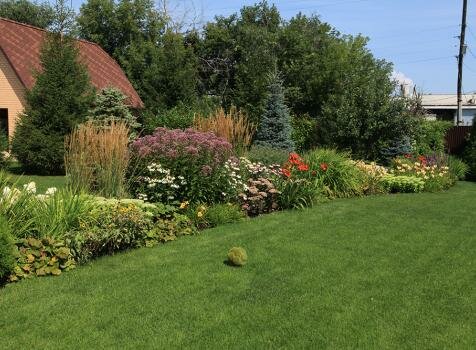 Голубые ёлки и большой цветник