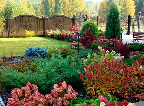 Сад с французским шармом (36) Пышный сад