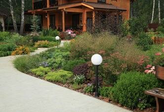 Травы в саду