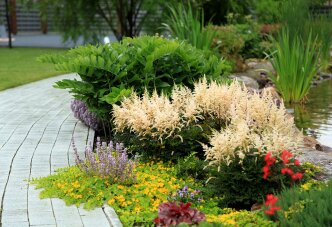 Яркий цветущий берег пруда