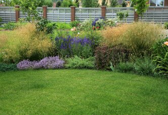 Злаковый микс на лужайке