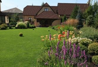 Цветник с колосковой вероникой