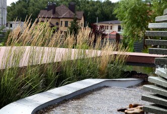 Злаковый бордюр возле пруда