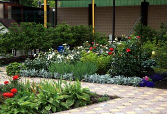 Розы и трявянистые многолетники