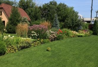 Голубые ёлки и большой цветник