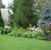 Злаковый цветник с посконником