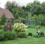 Миксбордер с гномом