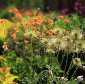 Яркий микс с гравилатом