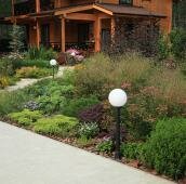 Травы в саду