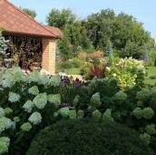 Клумба с голубой ёлкой