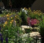 Альпинарий с вероникой и очитками (31-16) Альпинарий в саду