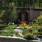 Зеркало и тюльпаны (34-4) Сад с тюльпанами и зеркалом