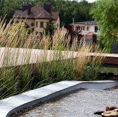 Злаковый бордюр возле пруда