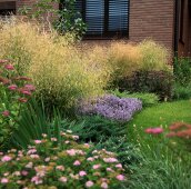 Щучка, тимьян, злаки