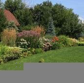 Голубые ёлки и большой цветник