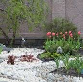 Весна с тюльпанами в белом саду, Челябинск Светлые дорожки из гальки и цветение